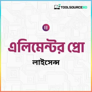Elementor Pro